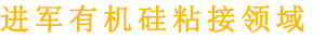 康利邦的實(shí)力到底怎么樣呢？
